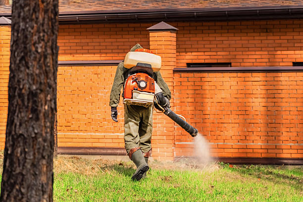 Top rated local Ant Control specialists in Coleman, MI